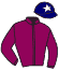 Casaque du jockey de Lieberose