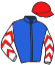 Casaque du jockey de Dhiffushi