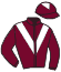 Casaque du jockey de Vitesse
