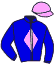 Casaque du jockey de Sottcat Fal