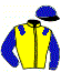 Casaque du jockey de Game On