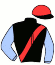 Casaque du jockey de Palatina