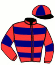 Casaque du jockey de Chataignier