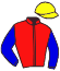 Casaque du jockey de Klitchko De Belair