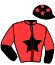 Casaque du jockey de Ici Machecoul