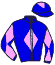 Casaque du jockey de Jazz Roque
