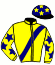 Casaque du jockey de Havane De Pail