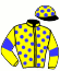 Casaque du jockey de Gyp Sea