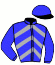 Casaque du jockey de Motacilla