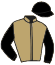 Casaque du jockey de Sissinghurst