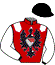 Casaque du jockey de Aiguiere D'Argent
