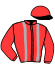 Casaque du jockey de Princesse Saphir