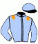 Casaque du jockey de Clarendon House