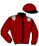 Casaque du jockey de Sajir