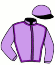 Casaque du jockey de Princesse Du Lys