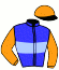 Casaque du jockey de Grand Leon