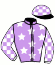 Casaque du jockey de Le Tolier