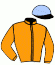 Casaque du jockey de Scarlet Valentine