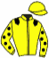 Casaque du jockey de Sans Regrets Hem