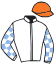Casaque du jockey de Mystic