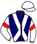 Casaque du jockey de Symbole