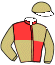 Casaque du jockey de Canneza