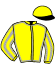 Casaque du jockey de Kingman D'Amsyl