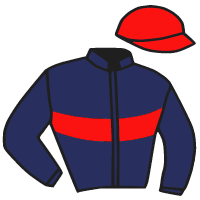 Casaque du jockey de La Sagra