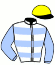 Casaque du jockey de Ephesus
