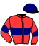 Casaque du jockey de Linas