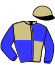 Casaque du jockey de Hapax