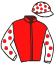 Casaque du jockey de Miss Nivernaise