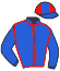 Casaque du jockey de Joyce Angot