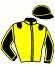 Casaque du jockey de Le Cap
