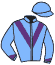 Casaque du jockey de Ector Zl