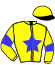 Casaque du jockey de Fee de Ranchval