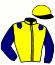 Casaque du jockey de Kahia De La Croix