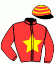 Casaque du jockey de Gold De La Coudre