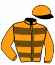 Casaque du jockey de Maranni