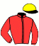 Casaque du jockey de Magic Trillion