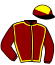 Casaque du jockey de Mister Des Places