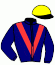 Casaque du jockey de Harcadian