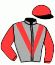 Casaque du jockey de Magic Fulip