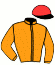 Casaque du jockey de Marston Victory