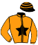 Casaque du jockey de Mendes De Jed