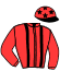 Casaque du jockey de Myrio Plennerie