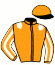 Casaque du jockey de Lucifer D'Arline