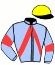 Casaque du jockey de Lynx Des Racques