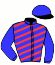 Casaque du jockey de Kristina Du Clos