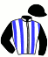 Casaque du jockey de Hudo Du Ruel